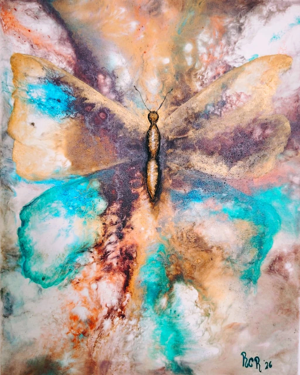 Cuadro Mariposa WebP